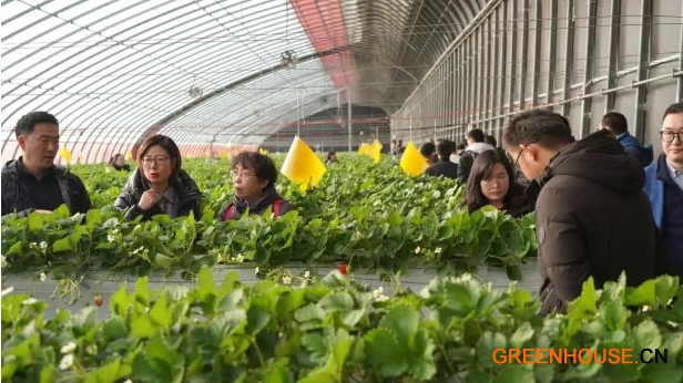 专家盲评+闭门研讨4