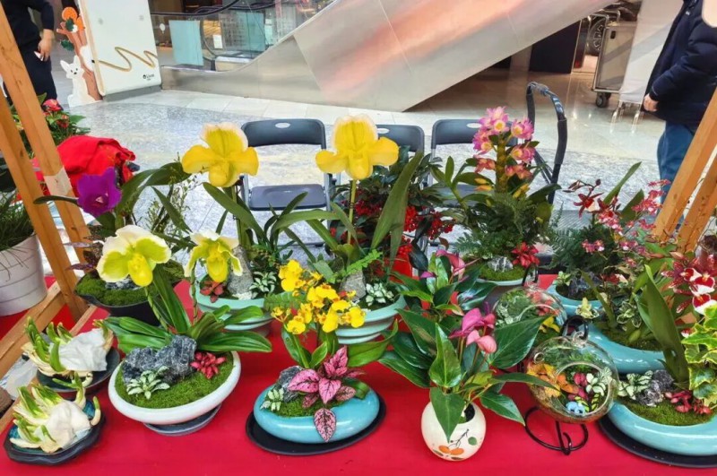 微信图片_20260116153750