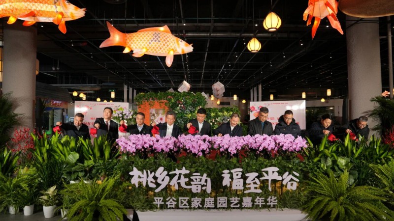 2026年平谷区家庭园艺嘉年华1