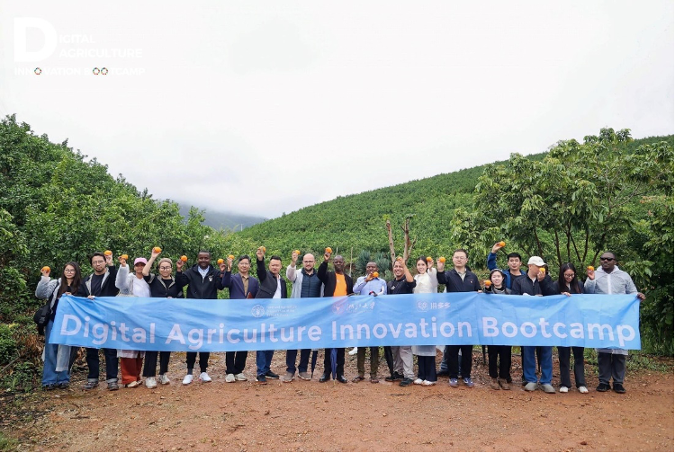 数字农业创新训练营第二阶段，青年农创客齐聚云南古生村田间实验基地。&copy;粮农组织