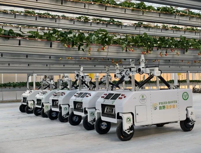 草莓采摘机器人