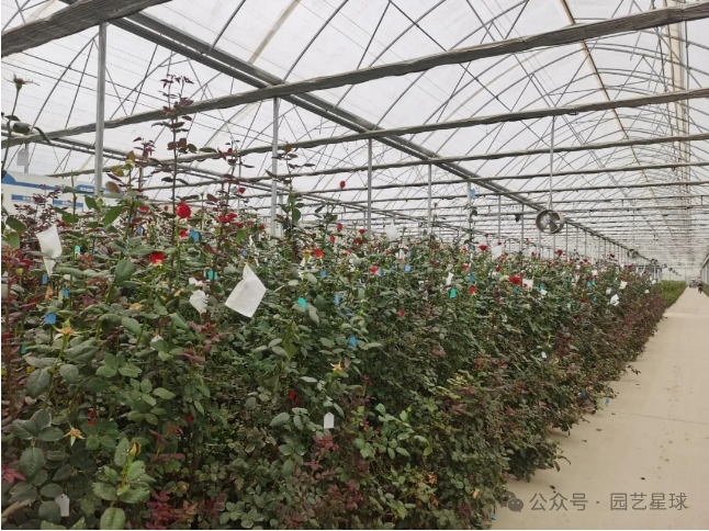 微信截图_20260227175903