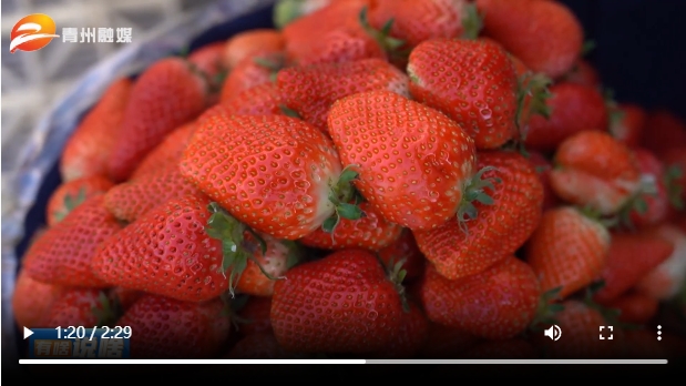 微信截图_20260228174734