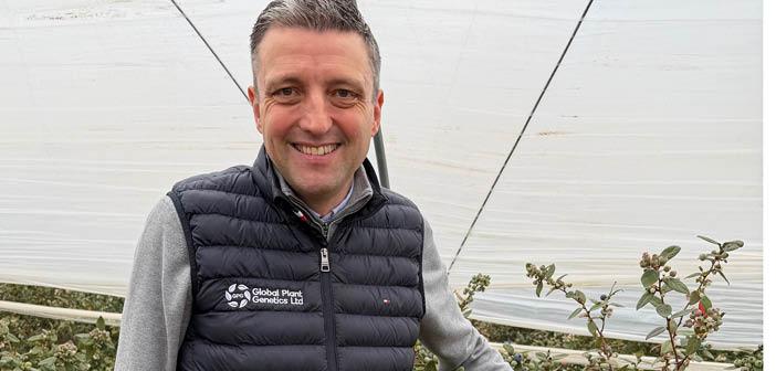 蓝莓新品热带蓝（完整）