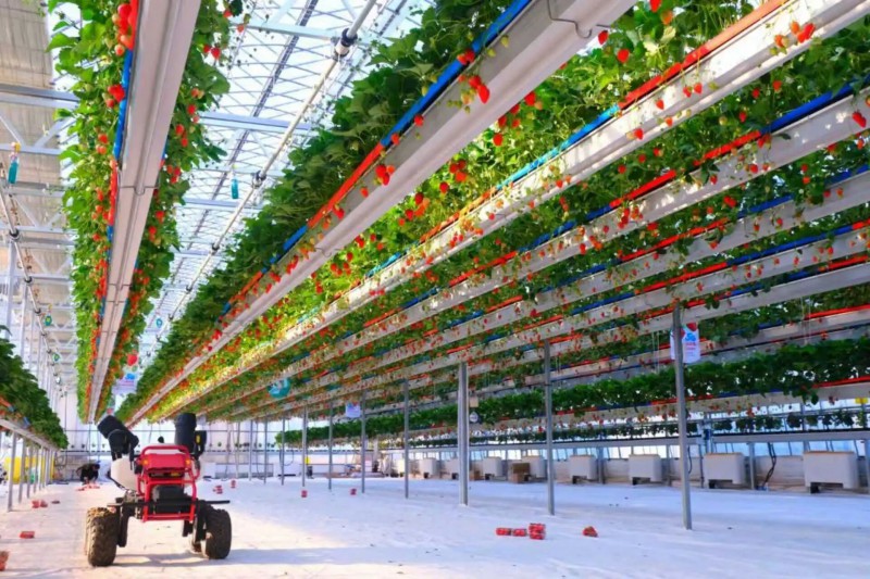 海淀&ldquo;三农&rdquo;1