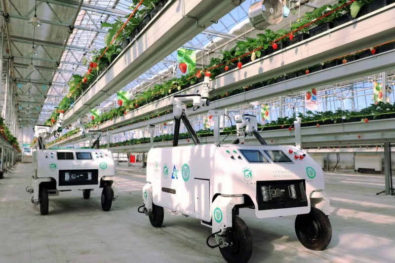 海淀&ldquo;三农&rdquo;5