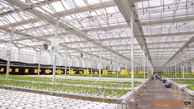 微信图片_20260305133709