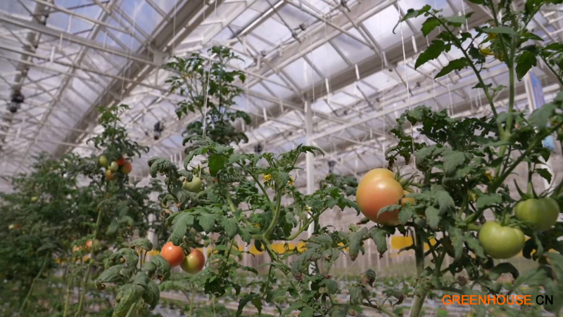 微信图片_20260305133738