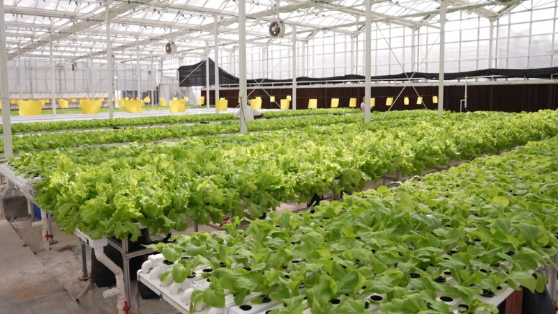 微信图片_20260305133742