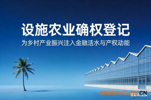 设施农业确权登记3比2