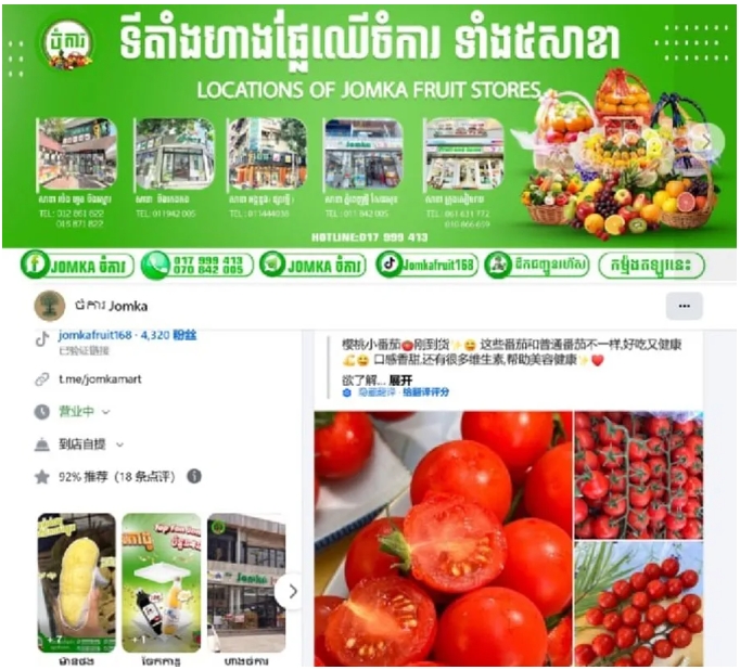 一棵大番茄进军东南亚