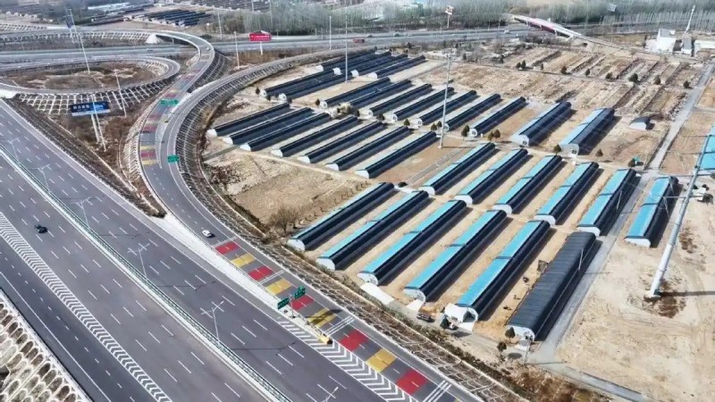 宁夏银川市兴庆区掌政镇春林村昆仑育苗1