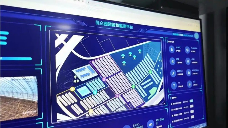 宁夏银川市兴庆区掌政镇春林村昆仑育苗2