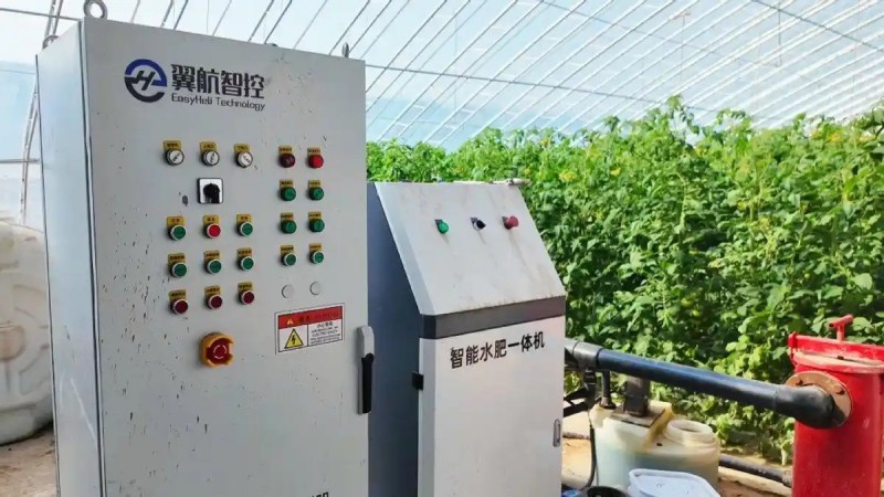 宁夏银川市兴庆区掌政镇春林村昆仑育苗4