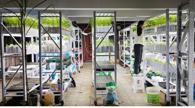 榆林学院现代农学院&ldquo;新农人&rdquo;农业科技实践团