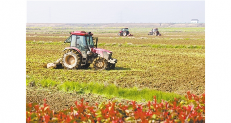 昌邑乡田间春耕备耕忙