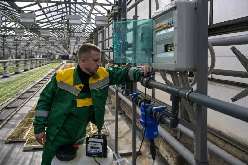 在俄罗斯莫斯科的一个温室，一家市政园林企业的工作人员操作自动灌溉系统