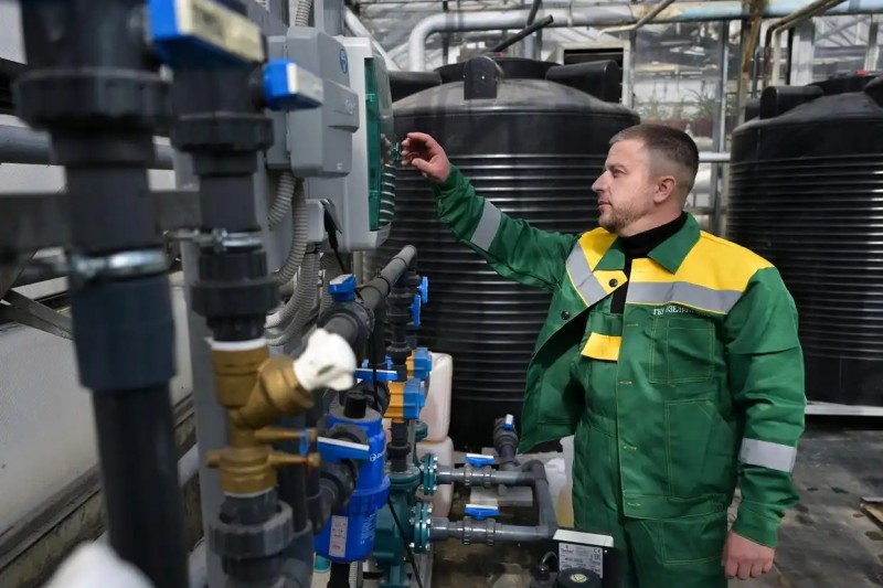 在俄罗斯莫斯科的一个温室，一家市政园林企业的工作人员操作自动灌溉系统2