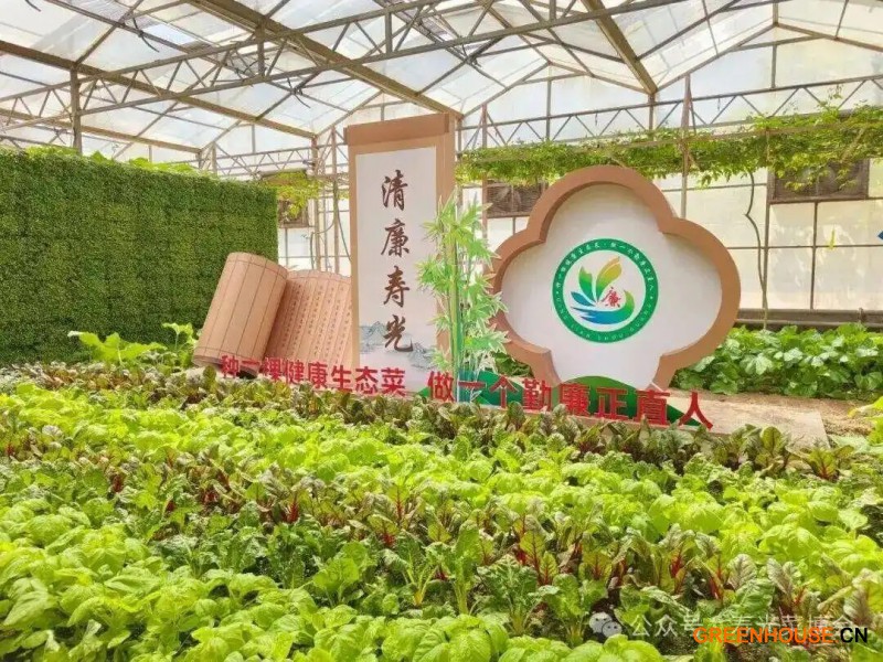 第二十七届中国（寿光）国际蔬菜科技博览会4