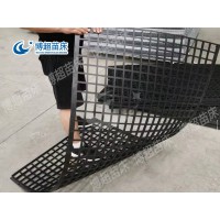 黑色塑料网片