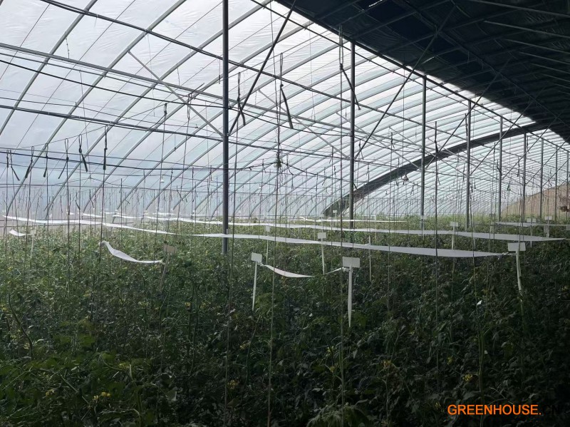 北京站开展智能喷洒机器人与人工作业质量对比试验活动
