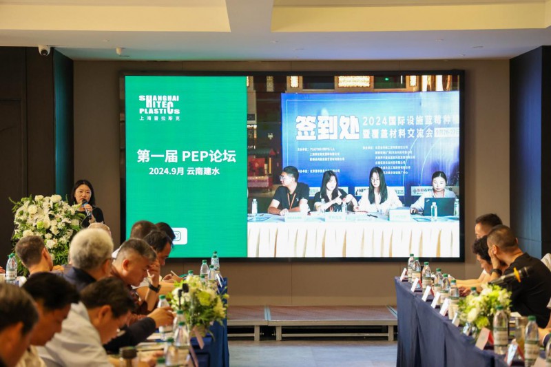 图片6