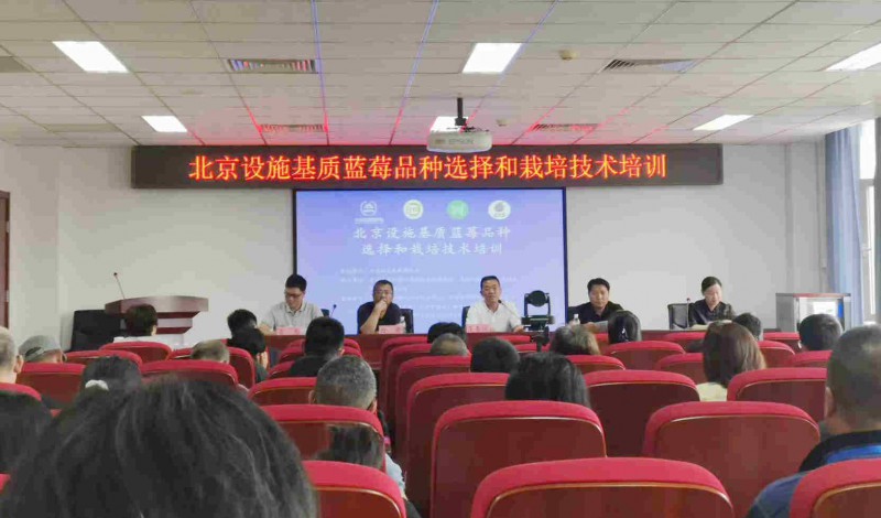 微信图片_20260525171345_副本