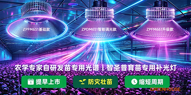 遵义育苗场