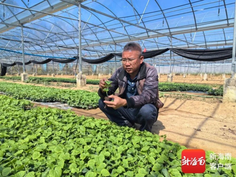 肖春雷
