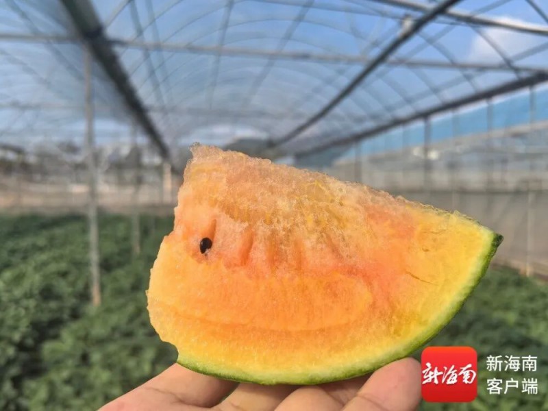 微信图片_20260617170700
