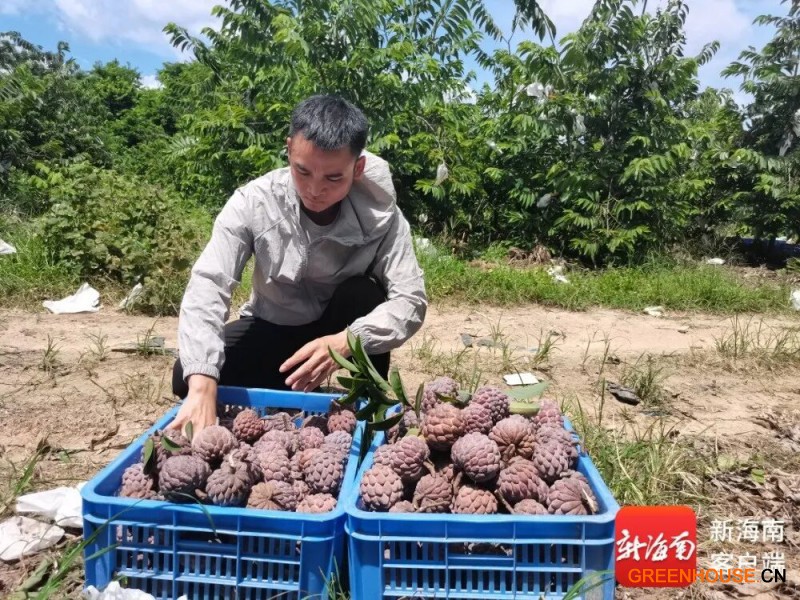 微信图片_20260617170705
