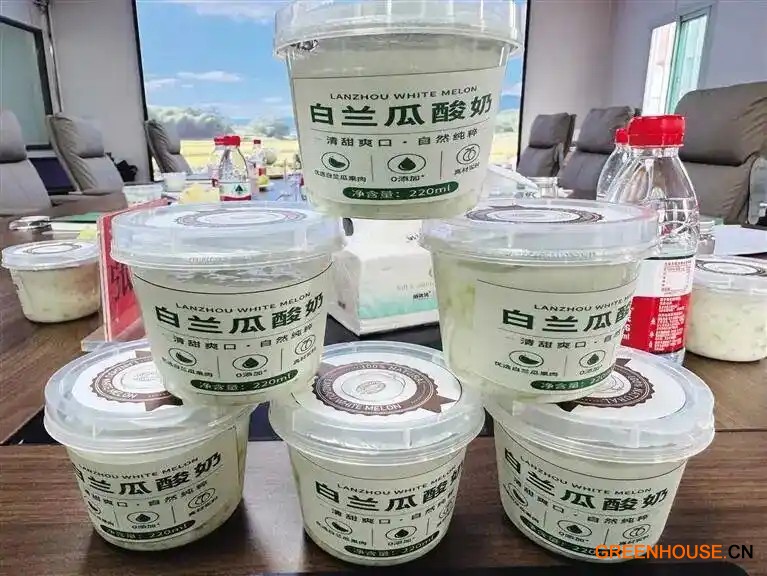 兰州白兰瓜酸奶