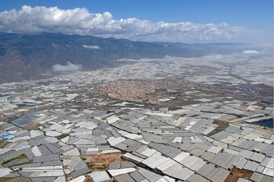 西班牙南部阿尔梅里亚(Almería)的埃尔埃希多(El Ejido)1