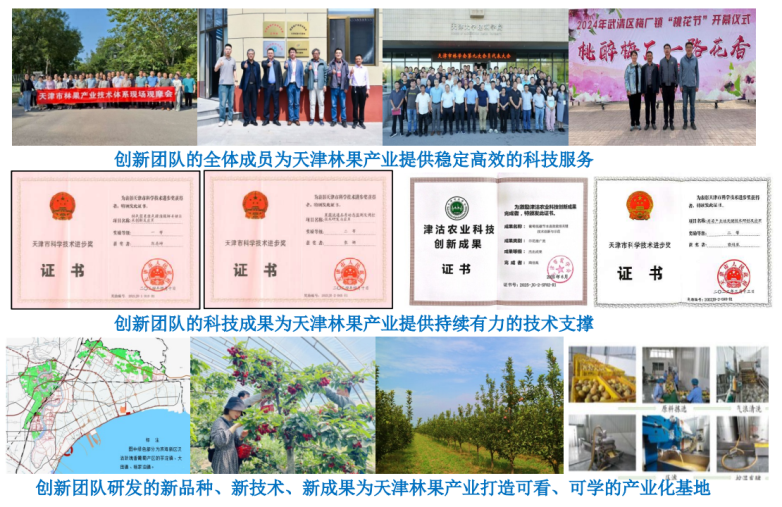天津市林果现代农业产业技术体系创新团队&ldquo;十四五&rdquo;完美收官