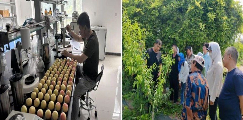 栽培技术工程中心建设迈上新台阶