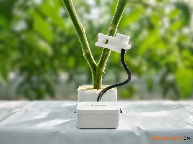 09Sensie Omni 便携式作物穿戴传感系统