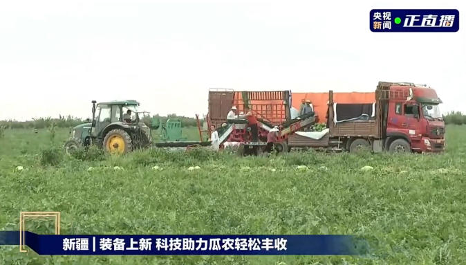 国内首台西甜瓜采收传输机械在新疆投入使用