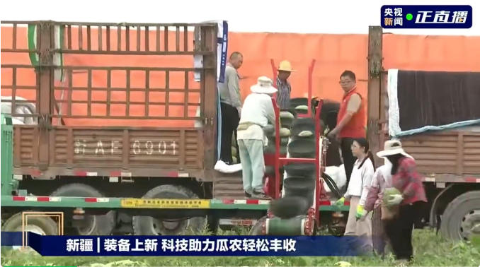 国内首台西甜瓜采收传输机械在新疆投入使用2