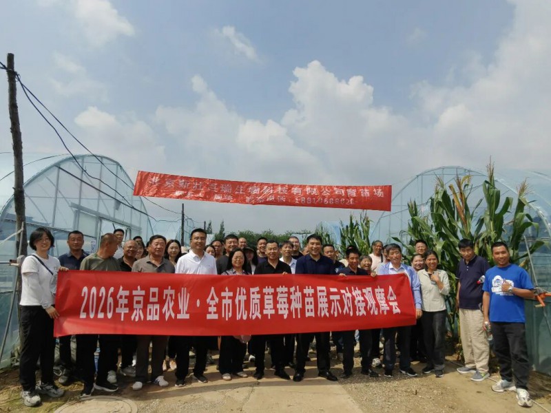 2026年京品农业·全市优质草莓种苗展示对接观摩会