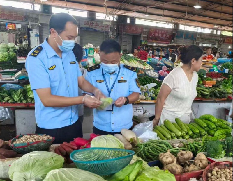 重庆市大渡口区市场监管局开展蔬菜农残专项快检工作