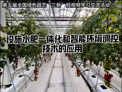 《设施水肥一体化和智能环境调控技术的应用》杨波