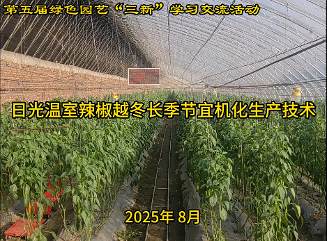 《日光温室辣椒越冬长季节宜机化生产技术》孙周平
