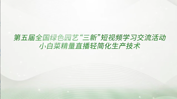 《小白菜精量直播轻简化生产技术》张晶